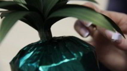 ананас из конфет