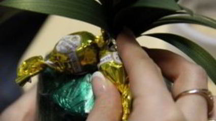 ананас из конфет