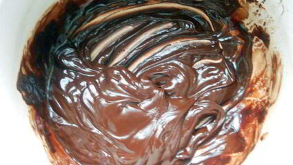 клюквенно-мятные шоколадные конфеты