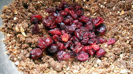 клюквенно-мятные шоколадные конфеты