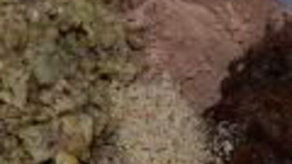 постные конфеты из чечевицы