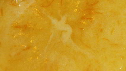 апельсиновый курд