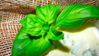 Нежный десертный крем из яблок с базиликом и кардамоном