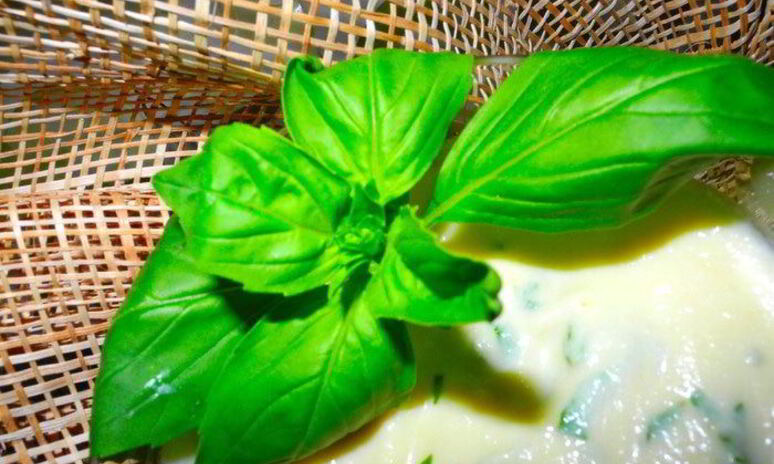 Рецепт нежного десертного крема из яблок с базиликом и кардамоном