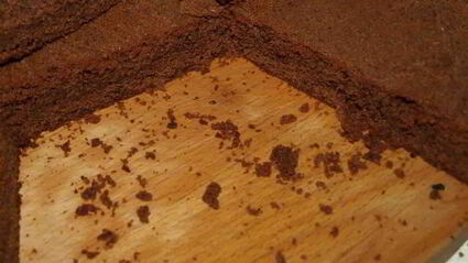 шоколадная симфония с кремом из белого шоколада