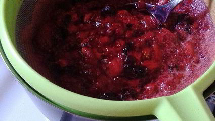 домашнее мороженое из ягод и йогурта