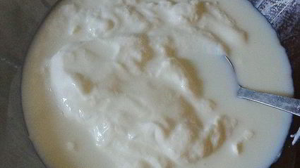 домашнее мороженое из ягод и йогурта