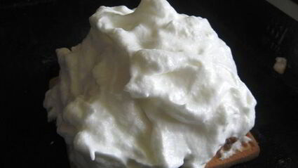 мороженое аляска запеченное в духовке