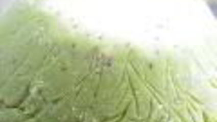 мороженое арбуз