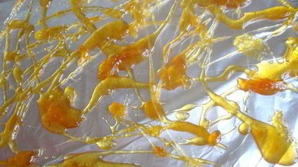 ванильное мороженое и груша-пашот сладкая парочка