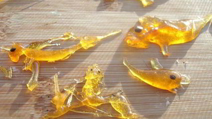 ванильное мороженое и груша-пашот сладкая парочка