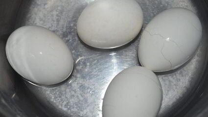 праздничный цукотто из форели с нежнейшим креветочным муссом, огурцом и сливочным кремом