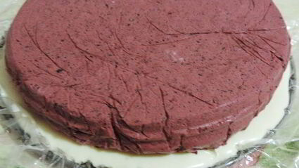 торт-мусс новогодняя фантазия