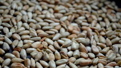 творожный мусс с яблочным соусом