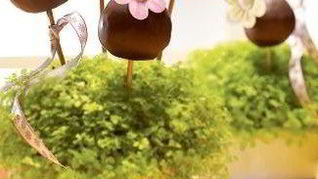 Шоколадный букет