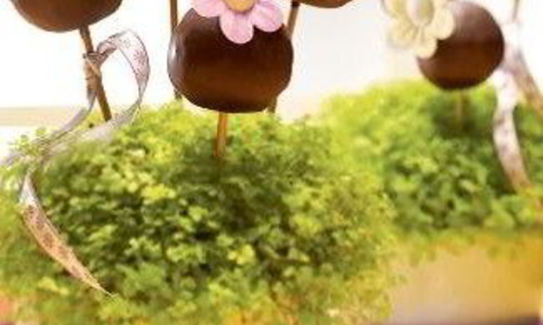 Рецепт шоколадного букета