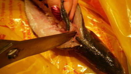 сибас с творожно-сырным суфле и семгой