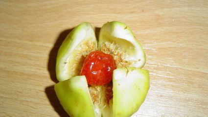 трюфели с инжиром, орехами, вялеными вишнями