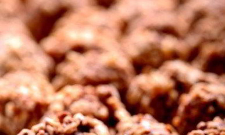 Рецепт трюфелей с клюквой в крошке из грецкого ореха