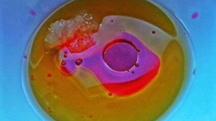 чечевица с пикантным луком и авокадо