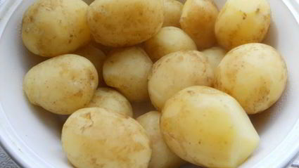 отварной молодой картофель с жареной курицей, луком и горошком