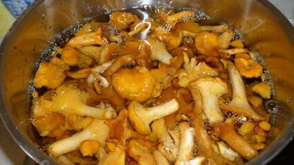 жареный молодой картофель с лисичками