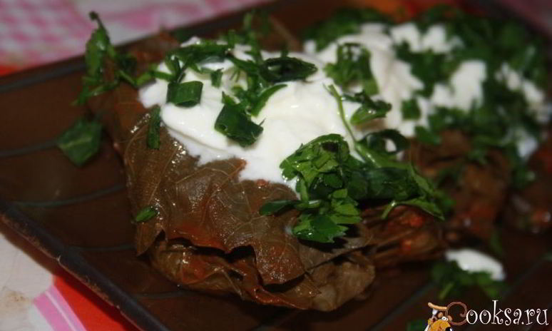 Рецепт диетической долмы из куриной грудки