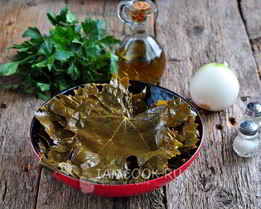 долма из маринованных виноградных листьев