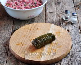 долма из маринованных виноградных листьев