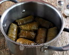 долма из маринованных виноградных листьев