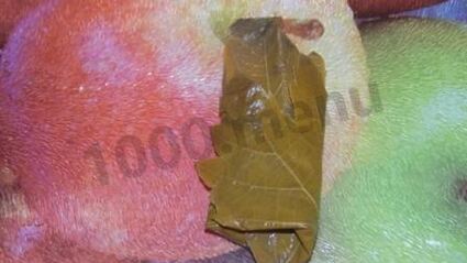 долма с мятой и круглым рисом