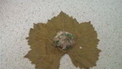 долма узбекская