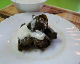 долма в виноградных листьях