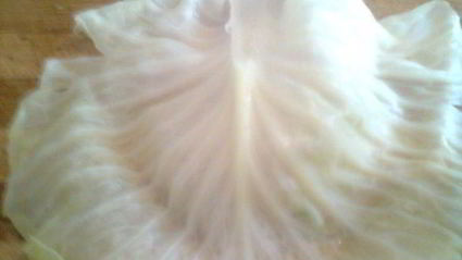 голубцы с гостями