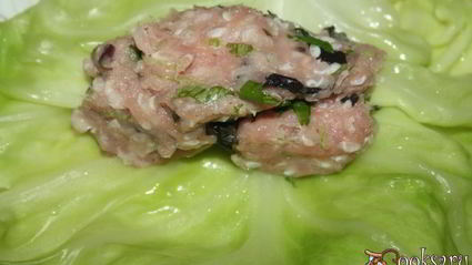 голубцы с индюшатиной, запеченные в сметанном соусе