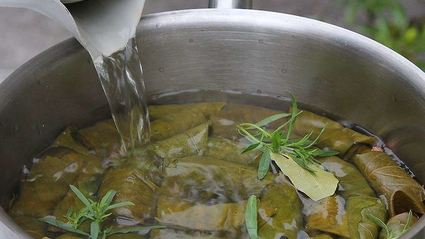 грузинская долма