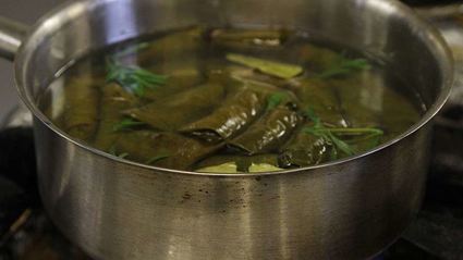 грузинская долма