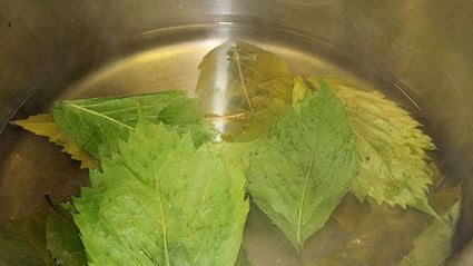 грузинская долма