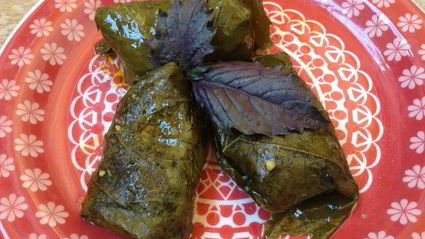 овощная долма