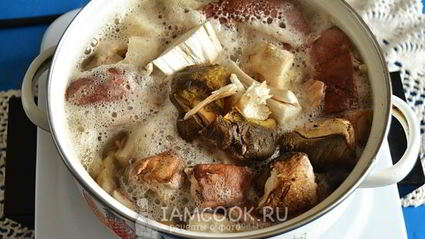 белые грибы в сметане