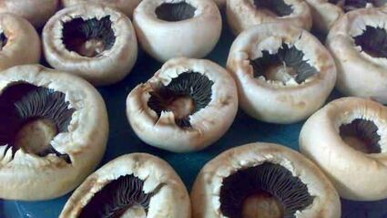 грибы фаршированные