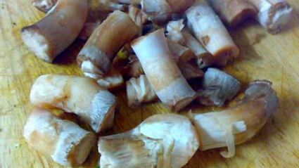 грибы фаршированные