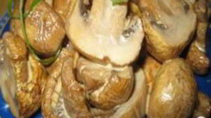 грибы обалденные