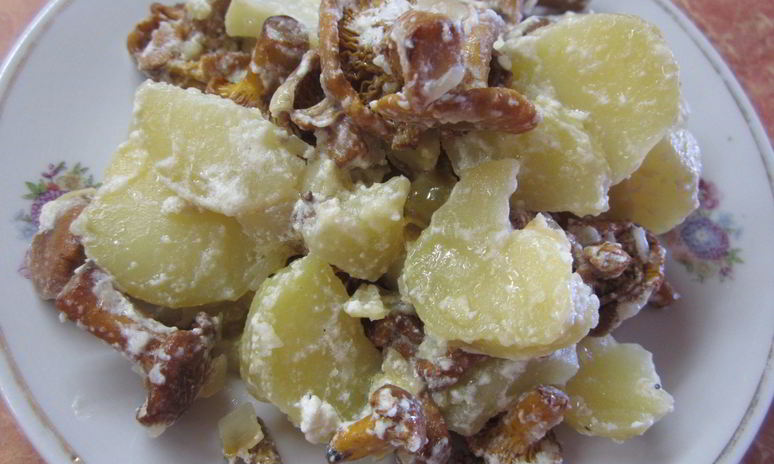 Рецепт грибов с картошкой в сметане