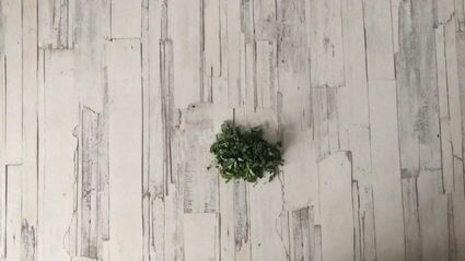 вегетарианская лазанья