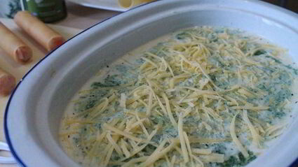 каннеллони с песто из шпината