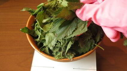 паста с крапивой и шпинатом