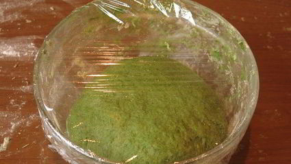 паста с крапивой и шпинатом