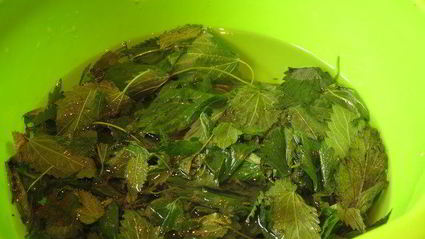 паста с крапивой и шпинатом