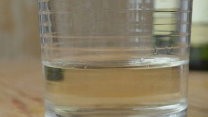 спагетти с грибами в сливочном соусе